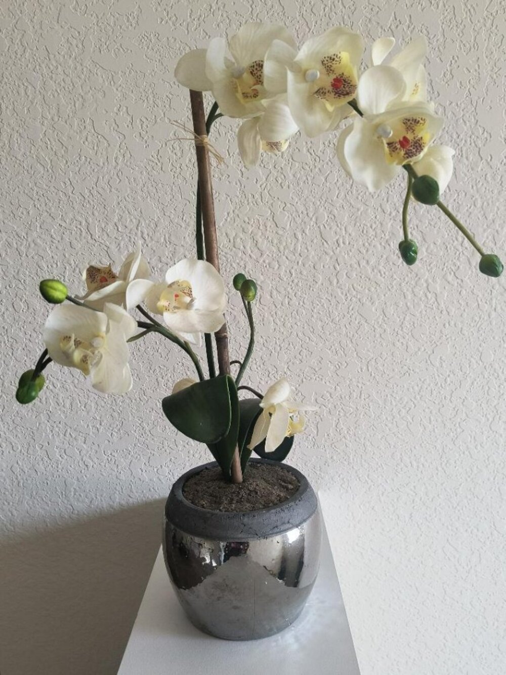 White Orchid in Metallic vase